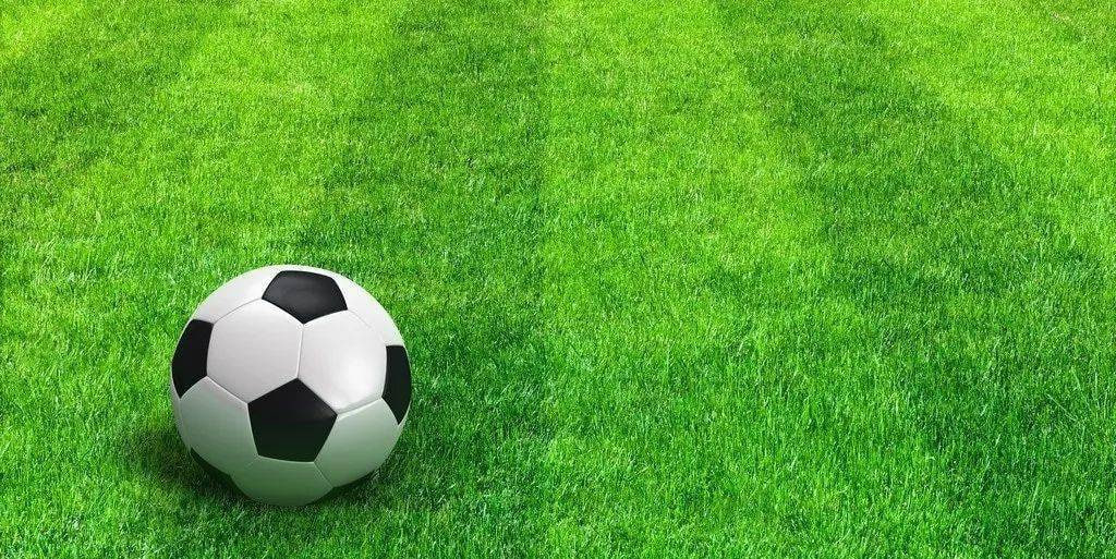 学校篮球队使用篮球比分记录表