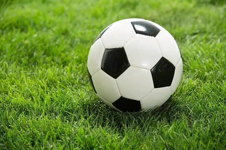 篮球比分记录表多平台下载